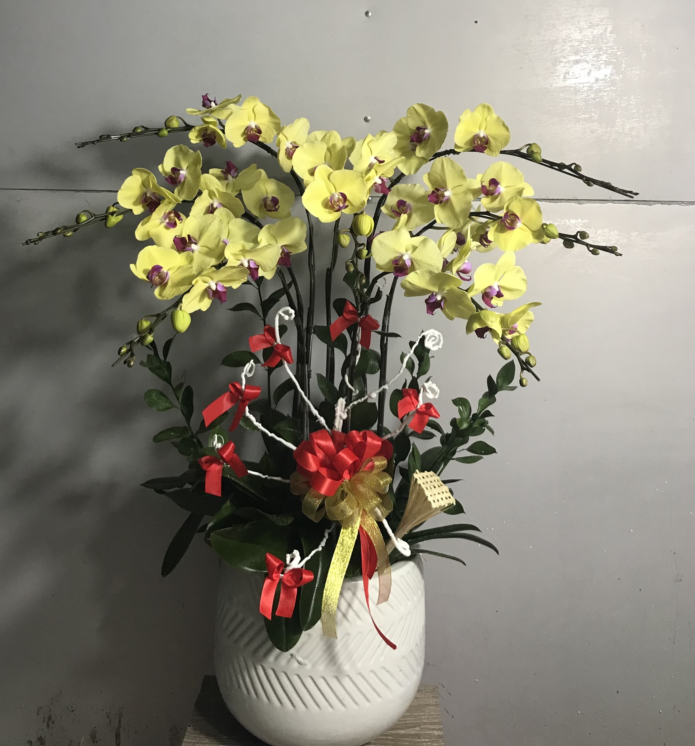 Hoa Lan Khai Trương 00092
